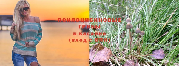 спиды Беломорск